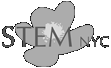 Stem MYC